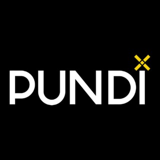 Логотип канала pundix