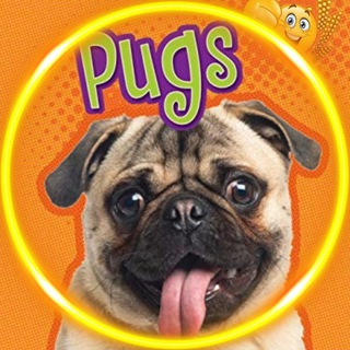 Логотип канала pugs_dogs