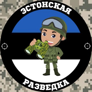 Логотип канала est_rzvdk