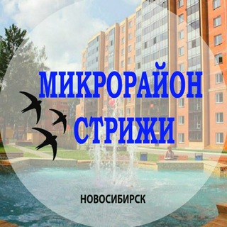 Логотип канала strizhinsk