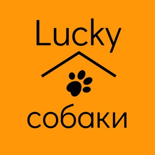 Логотип канала lucky_sobakii