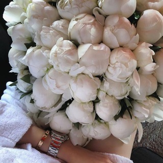 Логотип womanloveis