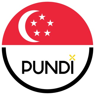 Логотип pundix_sg