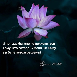 Логотип канала dua_zikr