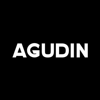 Логотип agudin_store