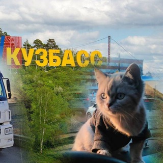 Логотип канала trucker_cat