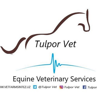 Логотип канала tulporvet