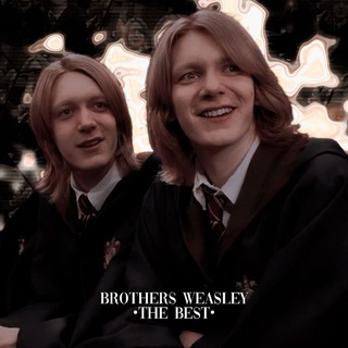 Логотип канала brothersweasley