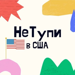 Логотип канала netupi_v_usa