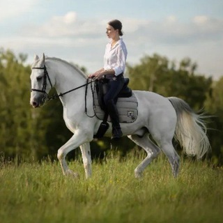 Логотип канала HORSE_Biomechanics