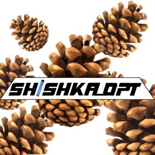 Логотип канала shishka_opt0