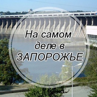 Логотип канала nsdelzap1