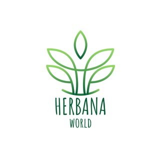 Логотип herbana_world