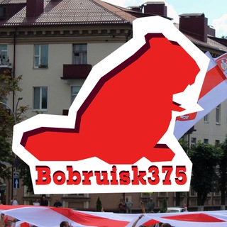 Логотип канала bobruisk375