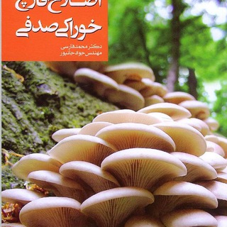 Логотип канала mushroomiran