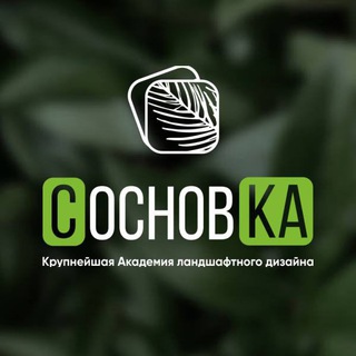 Логотип канала sosnovka_academy