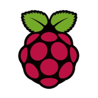 Логотип канала raspberrypien