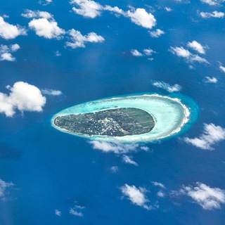 Логотип канала thoddoo_maldives