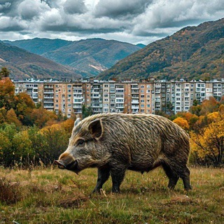 Логотип канала tetyhe