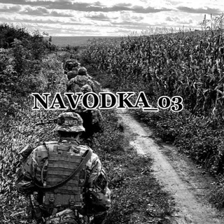 Логотип navodka_03