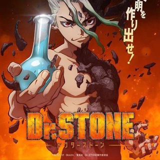 Логотип канала animedrstoneid