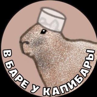 Логотип канала capybaramed