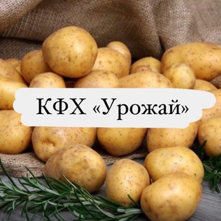 Логотип канала kfh_urojai