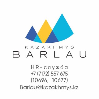 Логотип канала barlau