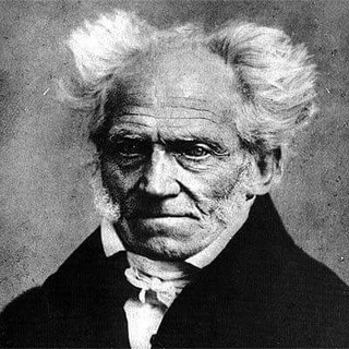 Логотип канала schopenhauer_page