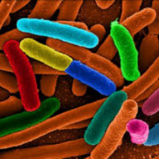 Логотип arshadbehdasht2microb