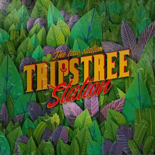 Логотип канала trips_tree_station