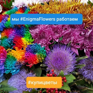 Логотип канала enigmaflowerssales