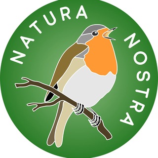 Логотип канала natura_nostra_online