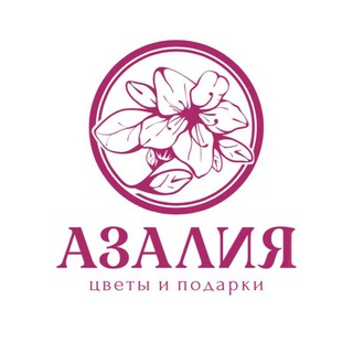 Логотип канала azaliya_kms