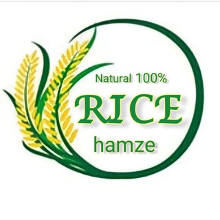 Логотип rice_hamze