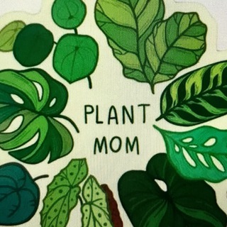 Логотип канала plant_mom_nn