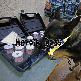 Логотип канала heroindogsi