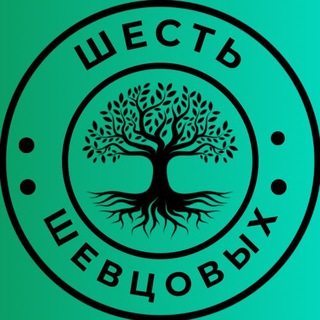 Логотип канала shevtsovmd