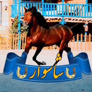 Логотип канала shasavarhorseridingclub