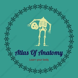 Логотип канала atlasofanatomy