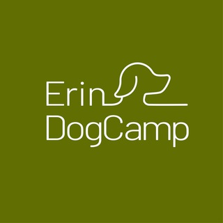 Логотип канала erindogcamp