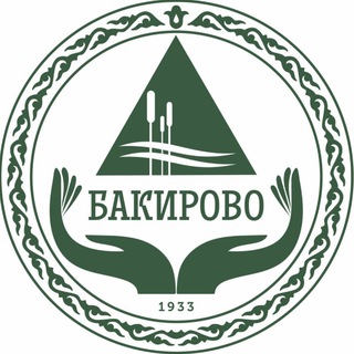 Логотип канала bakirovo_33