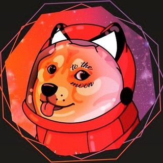 Логотип канала dogeinspace