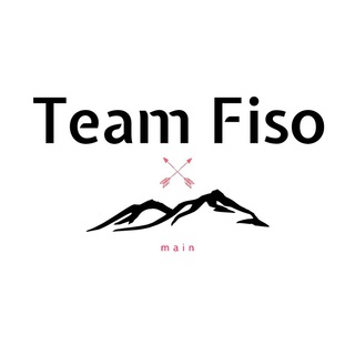 Логотип teamfiso