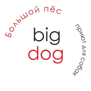 Логотип канала bigdog_ekb