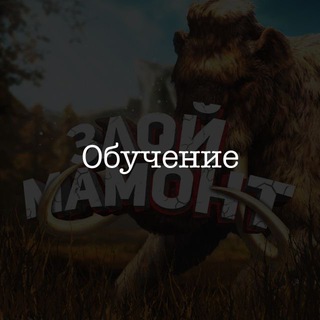 Логотип канала XhleIqLJMu4wZDYy