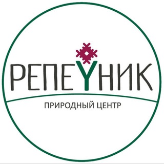 Логотип канала repeynikpark