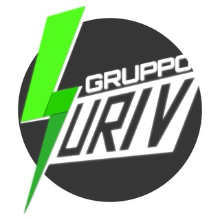 Логотип surivgruppo