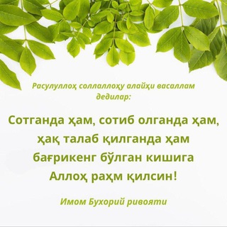 Логотип канала httpsd977770609