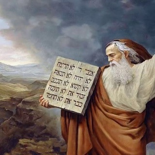 Логотип antique_moses